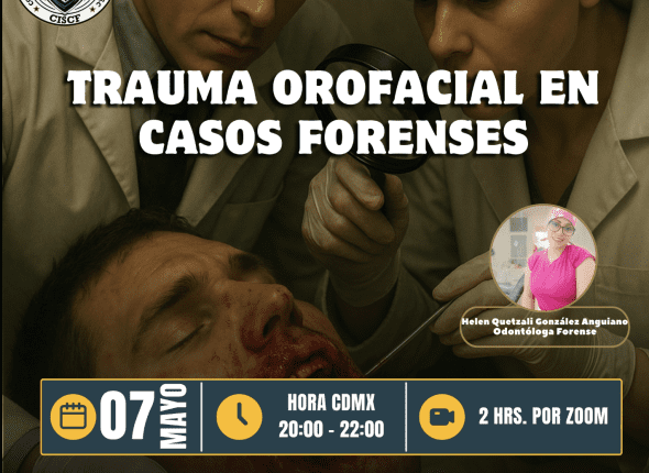 Captura de pantalla 2025-05-07 a las 12.00.19 a. m.